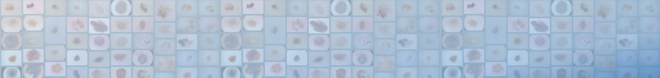 ISIC 2026 Workshop Banner